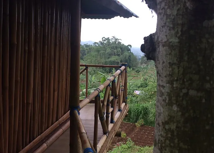 Bali Tree House Pelangi *