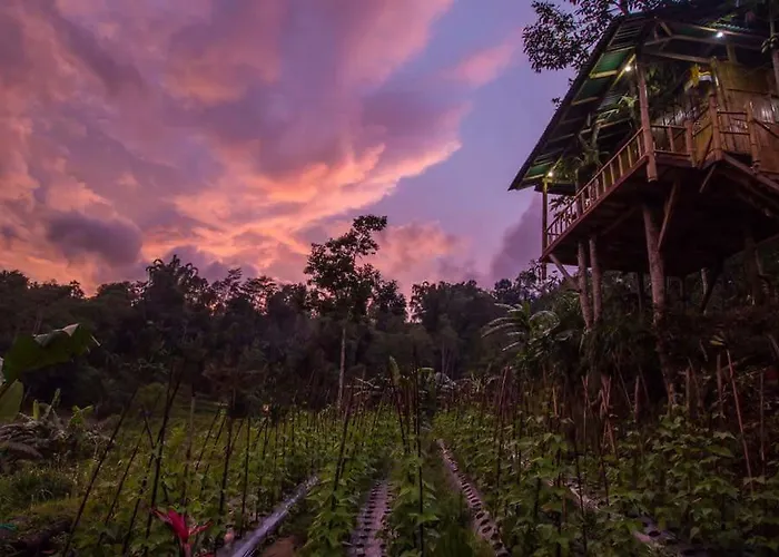 Séjour chez l'habitant Bali Tree House Pelangi *