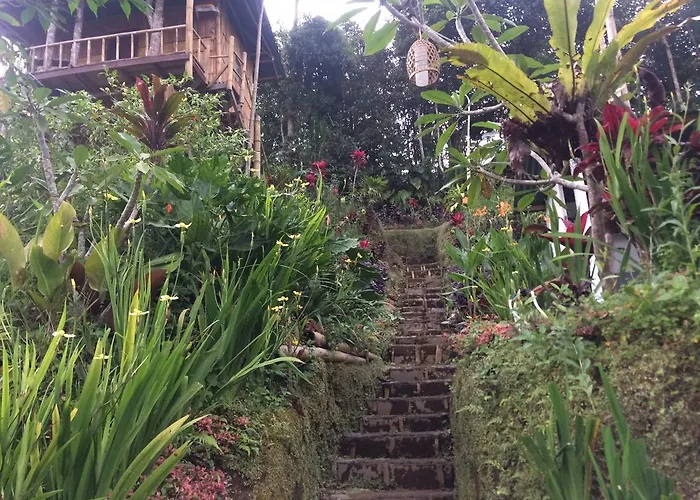 Bali Tree House Pelangi Bedugul (Bali)