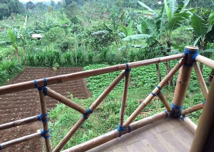 Séjour chez l'habitant Bali Tree House Pelangi Bedugul (Bali)