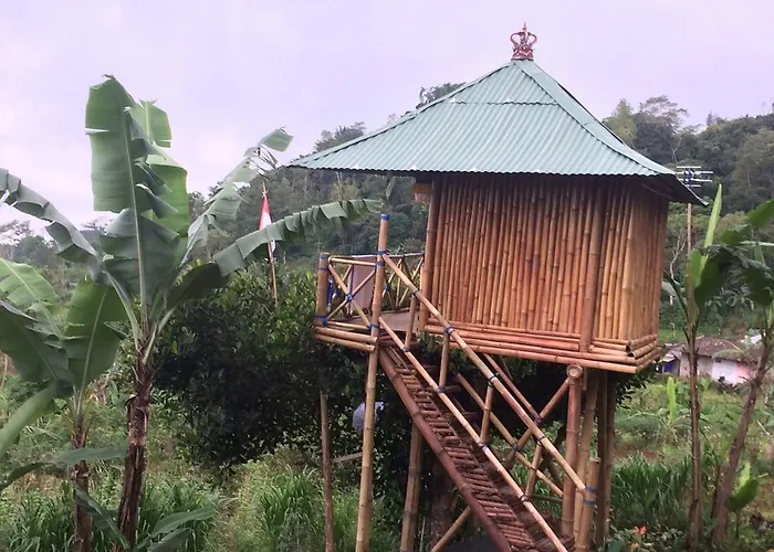 Bali Tree House Pelangi Séjour chez l'habitant Bedugul (Bali)