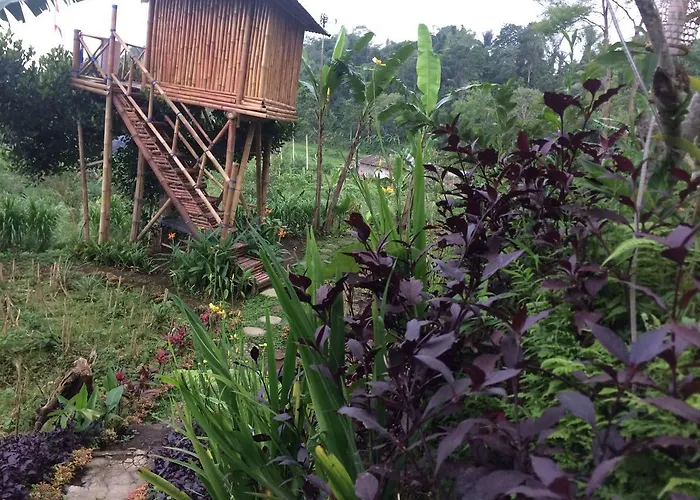 Bali Tree House Pelangi