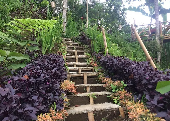Bali Tree House Pelangi *