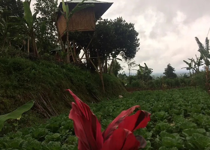Bali Tree House Pelangi Bedugul (Bali)
