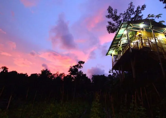 Séjour chez l'habitant Bali Tree House Pelangi *