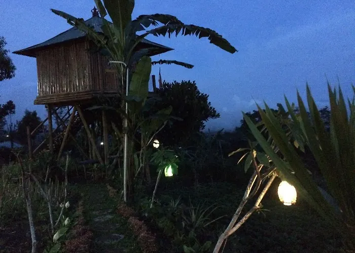 Bali Tree House Pelangi
