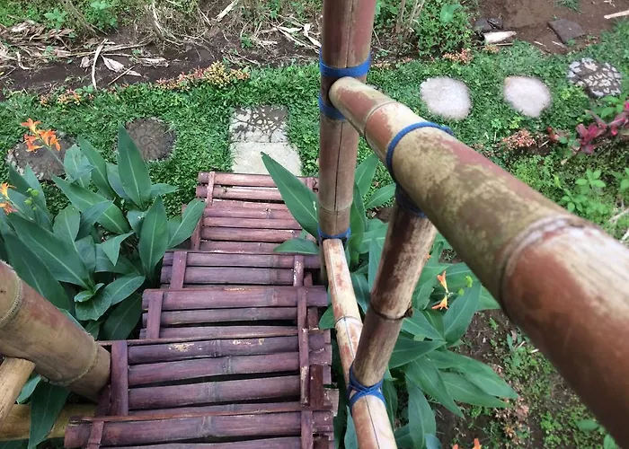 Bali Tree House Pelangi Séjour chez l'habitant *