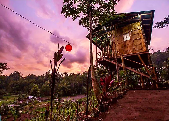 Bali Tree House Pelangi Bedugul (Bali)