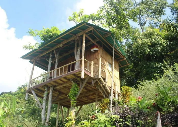 Bali Tree House Pelangi *