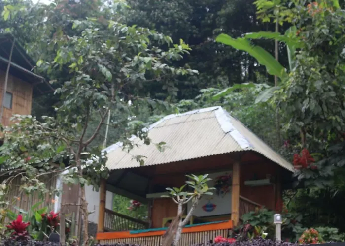 Bali Tree House Pelangi Séjour chez l'habitant