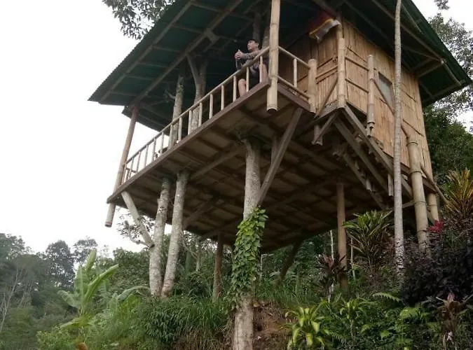 Bali Tree House Pelangi * Bedugul (Bali)