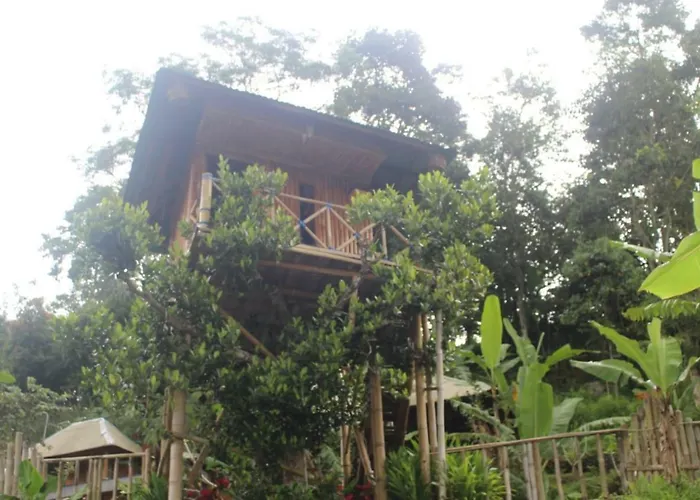 Bali Tree House Pelangi Séjour chez l'habitant Bedugul (Bali)