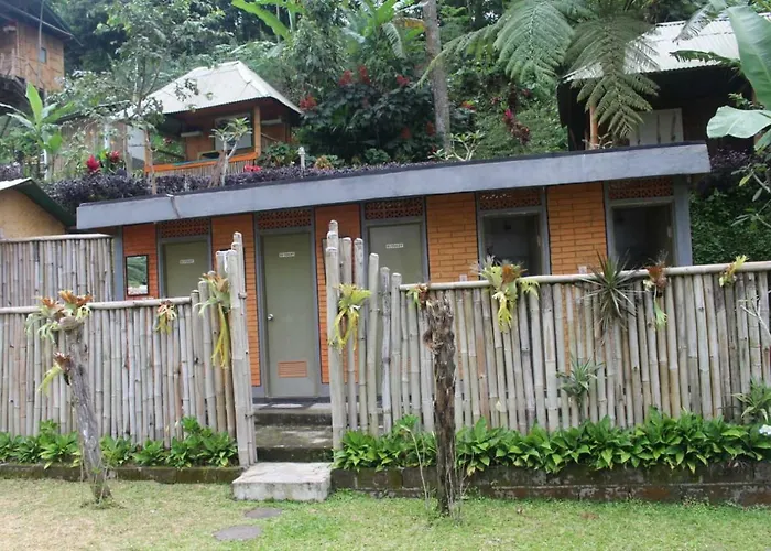Bali Tree House Pelangi 民宿