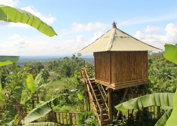 Bali Tree House Pelangi *