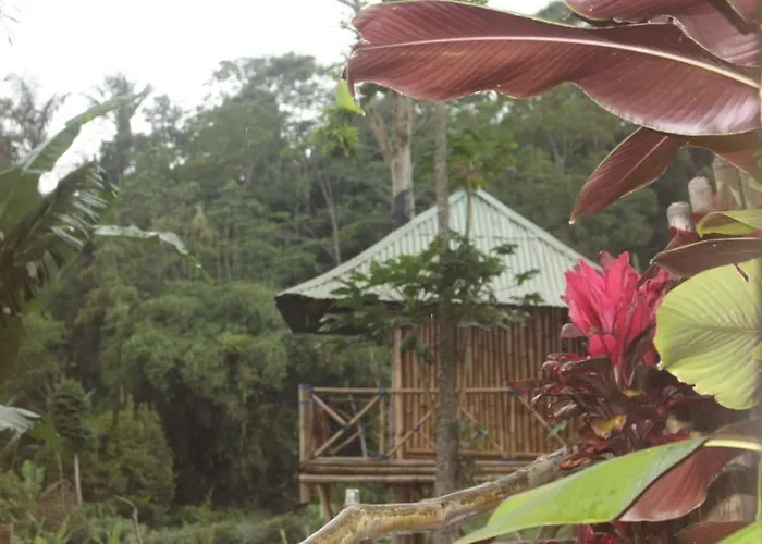 Bali Tree House Pelangi * Bedugul (Bali)
