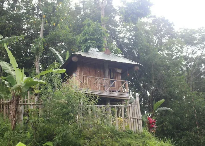 Séjour chez l'habitant Bali Tree House Pelangi *