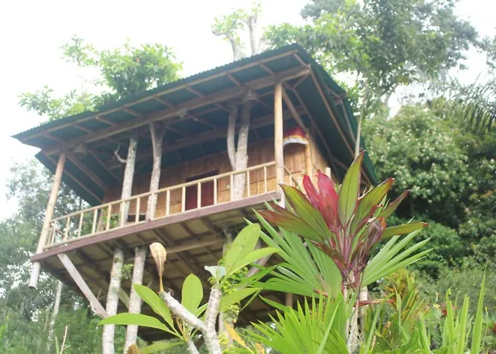 民宿 Bali Tree House Pelangi *