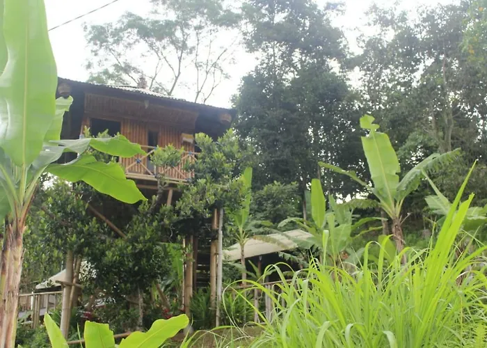 Séjour chez l'habitant Bali Tree House Pelangi