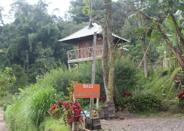 Bali Tree House Pelangi Séjour chez l'habitant *