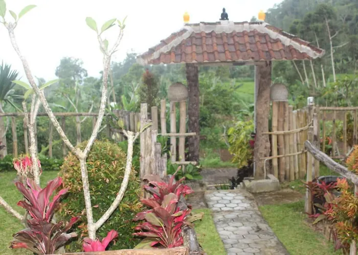 Bali Tree House Pelangi 民宿 贝都古