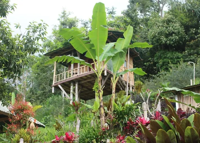 Bali Tree House Pelangi Séjour chez l'habitant Bedugul (Bali)