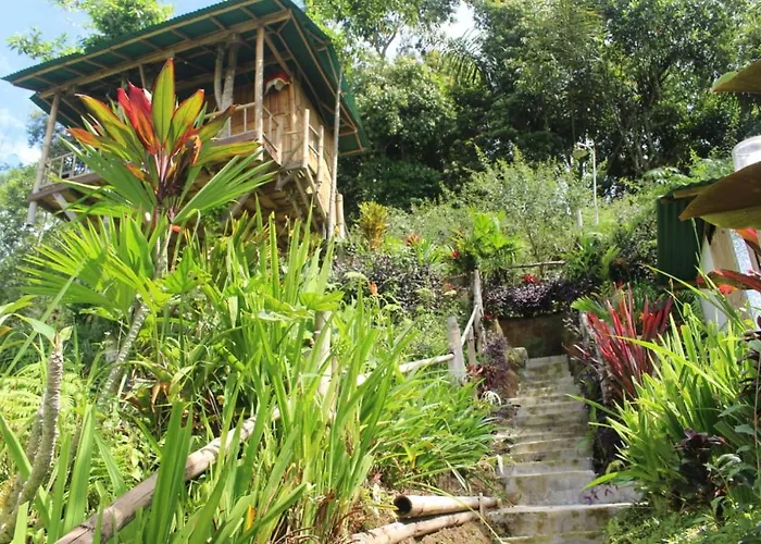 Bali Tree House Pelangi 民宿