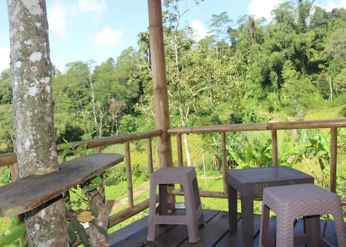 Bali Tree House Pelangi 民宿 *