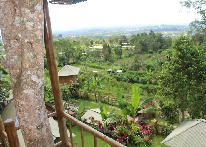 Bali Tree House Pelangi 民宿