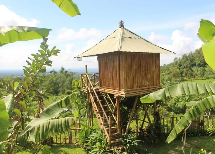 Bali Tree House Pelangi 民宿