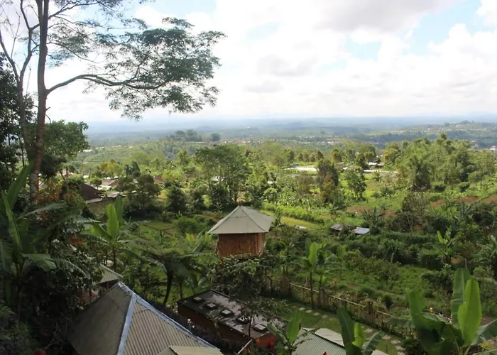 Bali Tree House Pelangi *