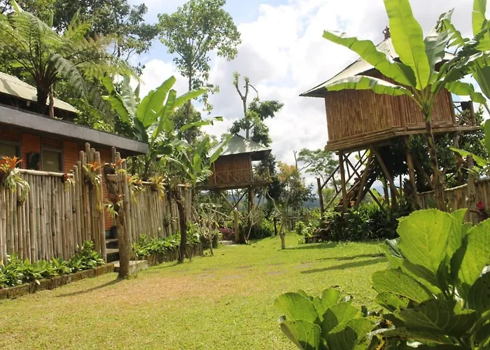 Séjour chez l'habitant Bali Tree House Pelangi Bedugul (Bali)