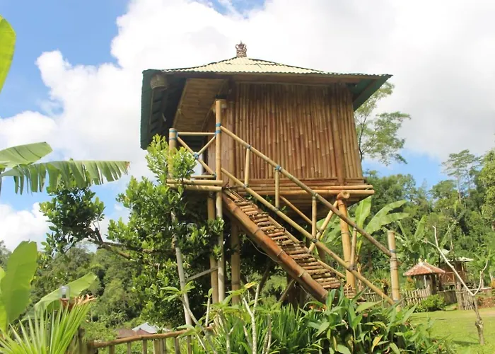 Bali Tree House Pelangi *