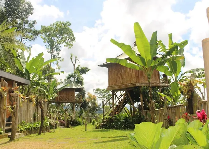 民宿 Bali Tree House Pelangi 贝都古