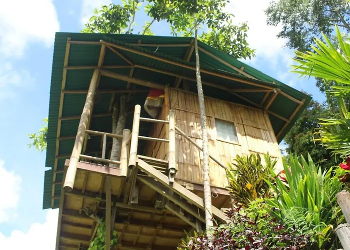 Bali Tree House Pelangi *