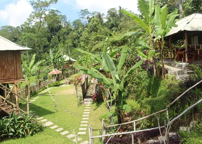 Séjour chez l'habitant Bali Tree House Pelangi
