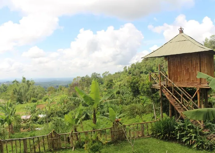 Bali Tree House Pelangi