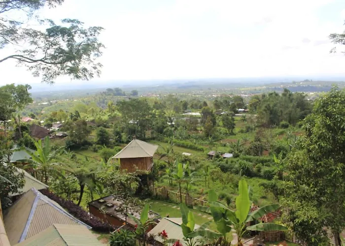 Bali Tree House Pelangi 民宿