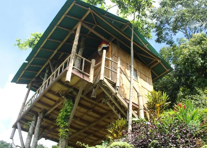 Séjour chez l'habitant Bali Tree House Pelangi Bedugul (Bali)