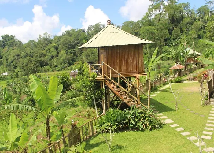 民宿 Bali Tree House Pelangi *