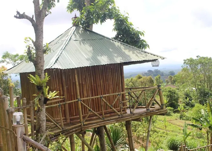 Bali Tree House Pelangi Séjour chez l'habitant Bedugul (Bali)