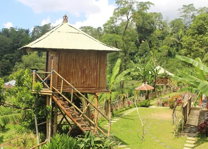 Séjour chez l'habitant Bali Tree House Pelangi Bedugul (Bali)