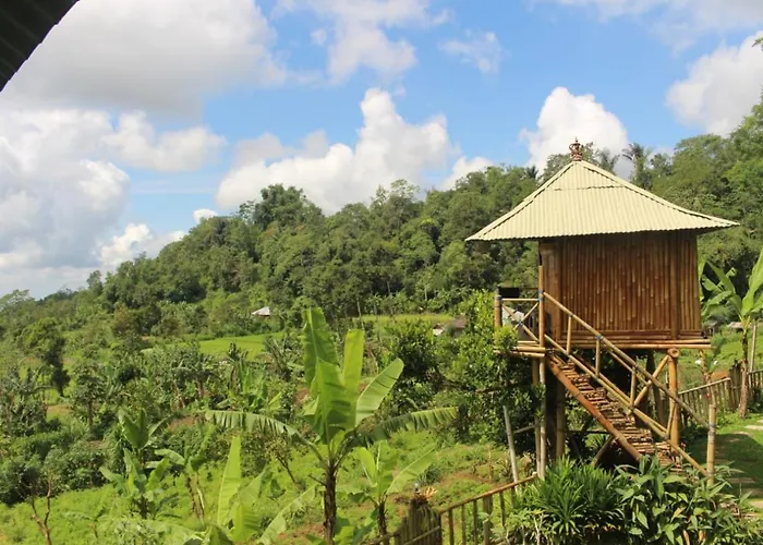Séjour chez l'habitant Bali Tree House Pelangi Bedugul (Bali)