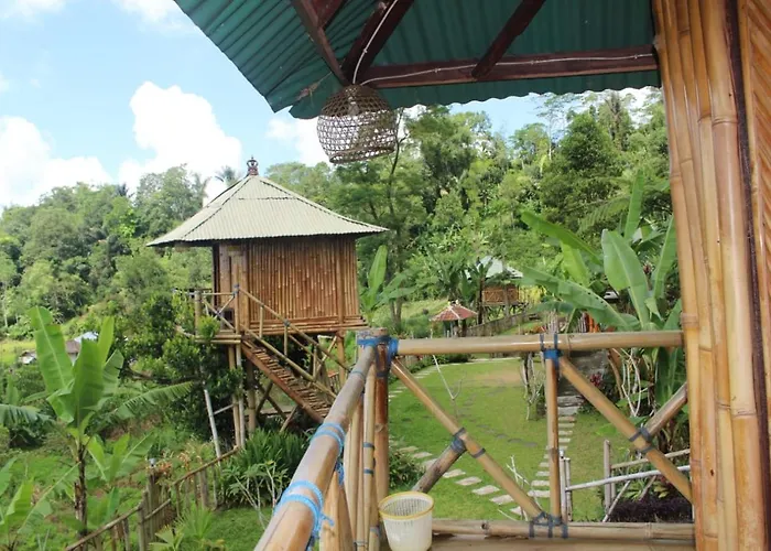 Bali Tree House Pelangi Séjour chez l'habitant