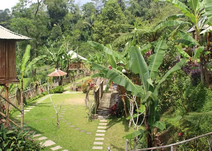 Bali Tree House Pelangi * 贝都古
